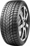 ������ ���� Delinte Winter WD6 R19 225/55 99H